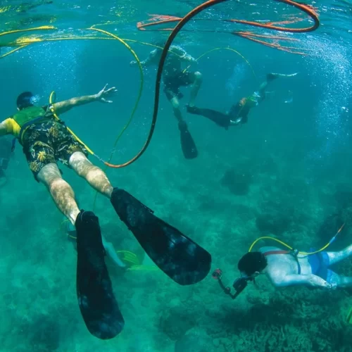 COOT2290-090710-1024x683