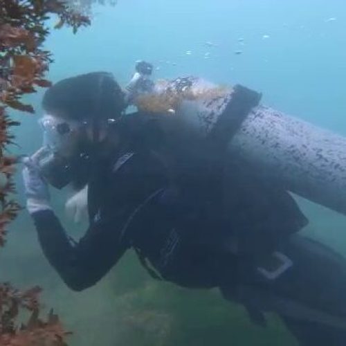 WhatsApp Image 2023-03-21 at 4.50.42 PM