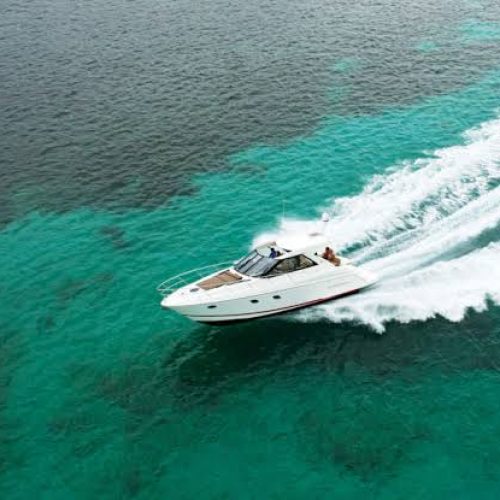 WhatsApp Image 2023-03-23 at 7.40.56 PM